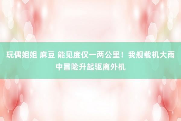 玩偶姐姐 麻豆 能见度仅一两公里！我舰载机大雨中冒险升起驱离外机