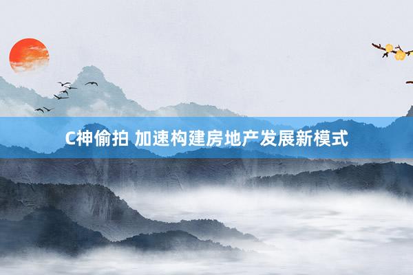 C神偷拍 加速构建房地产发展新模式