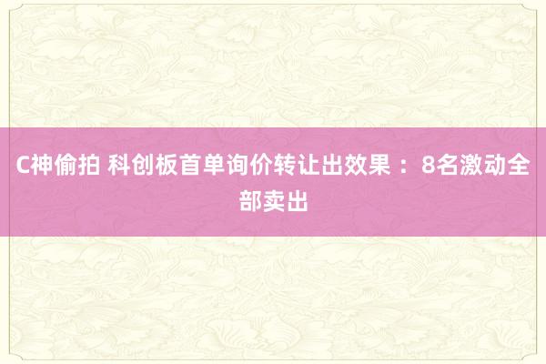C神偷拍 科创板首单询价转让出效果 ：8名激动全部卖出