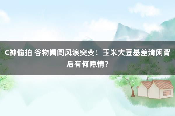 C神偷拍 谷物阛阓风浪突变！玉米大豆基差清闲背后有何隐情？
