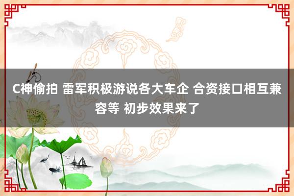 C神偷拍 雷军积极游说各大车企 合资接口相互兼容等 初步效果来了