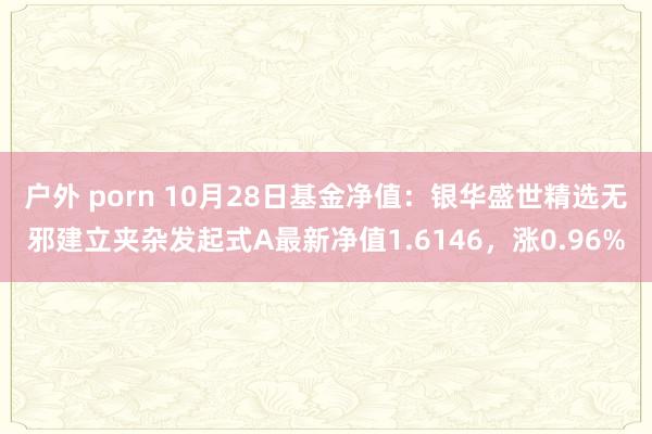 户外 porn 10月28日基金净值：银华盛世精选无邪建立夹杂发起式A最新净值1.6146，涨0.96%