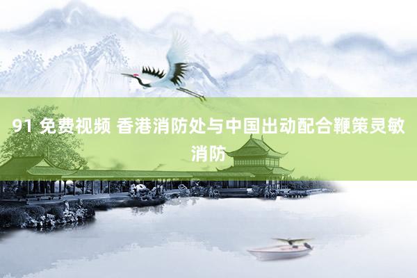 91 免费视频 香港消防处与中国出动配合鞭策灵敏消防