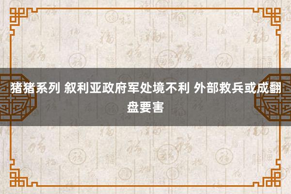 猪猪系列 叙利亚政府军处境不利 外部救兵或成翻盘要害