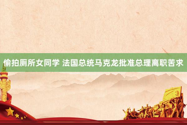 偷拍厕所女同学 法国总统马克龙批准总理离职苦求