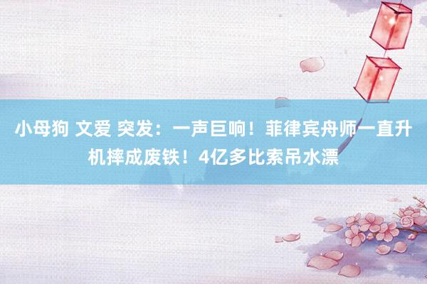 小母狗 文爱 突发：一声巨响！菲律宾舟师一直升机摔成废铁！4亿多比索吊水漂