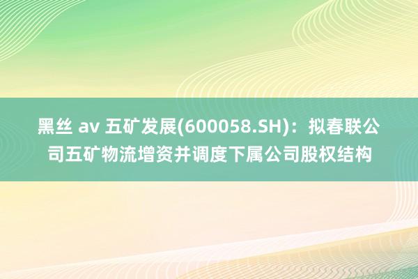 黑丝 av 五矿发展(600058.SH)：拟春联公司五矿物流增资并调度下属公司股权结构