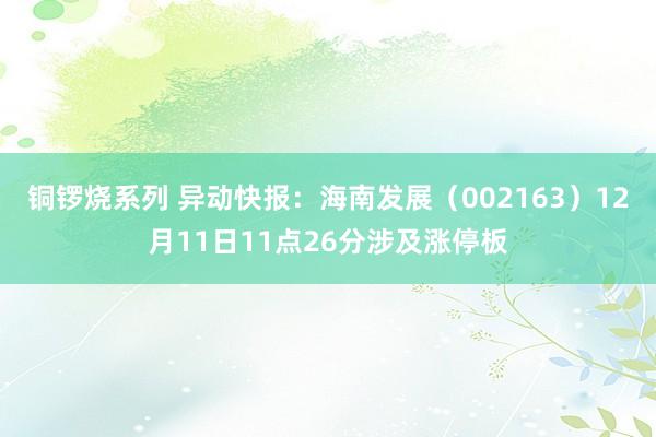 铜锣烧系列 异动快报：海南发展（002163）12月11日11点26分涉及涨停板