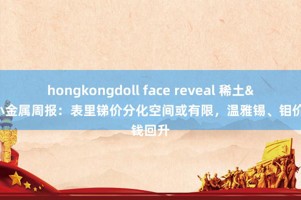 hongkongdoll face reveal 稀土&小金属周报:表里锑价分化空间或有限,温雅锡、钼价钱回升