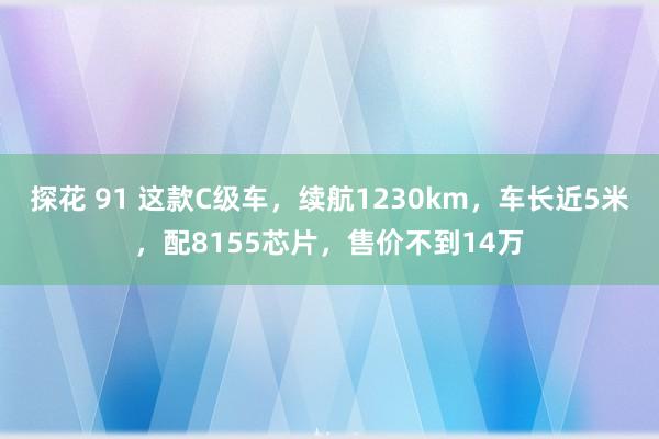 探花 91 这款C级车，续航1230km，车长近5米，配8155芯片，售价不到14万