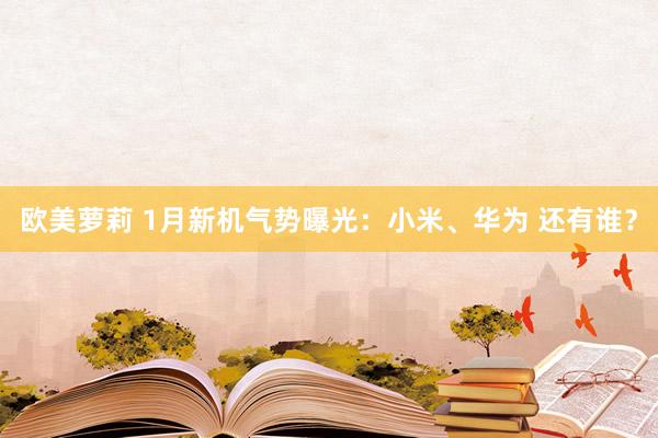 欧美萝莉 1月新机气势曝光：小米、华为 还有谁？