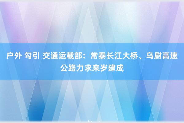 户外 勾引 交通运载部：常泰长江大桥、乌尉高速公路力求来岁建成