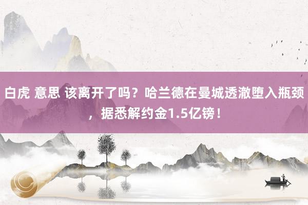 白虎 意思 该离开了吗?哈兰德在曼城透澈堕入瓶颈,据悉解约金1.5亿镑!