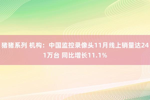 猪猪系列 机构：中国监控录像头11月线上销量达241万台 同比增长11.1%