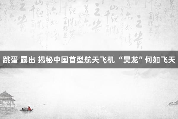 跳蛋 露出 揭秘中国首型航天飞机 “昊龙”何如飞天