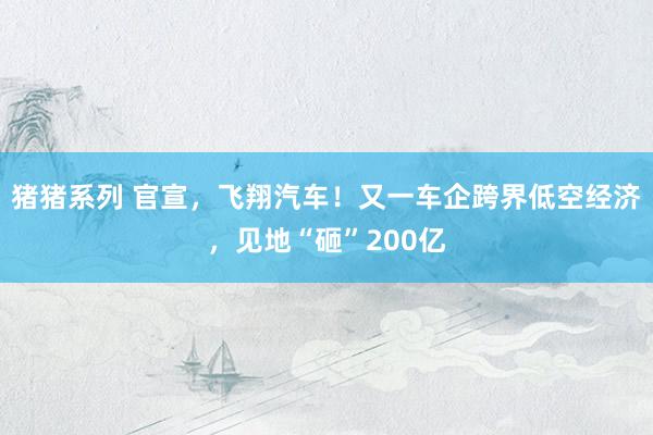 猪猪系列 官宣，飞翔汽车！又一车企跨界低空经济，见地“砸”200亿