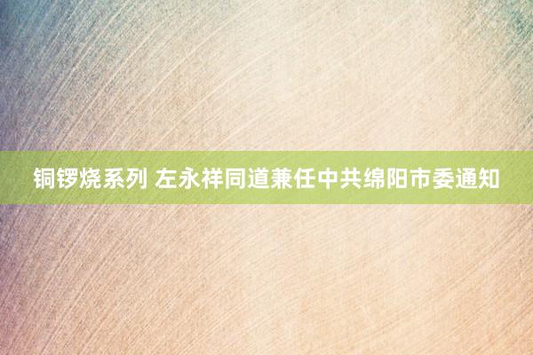 铜锣烧系列 左永祥同道兼任中共绵阳市委通知