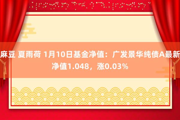 麻豆 夏雨荷 1月10日基金净值：广发景华纯债A最新净值1.048，涨0.03%