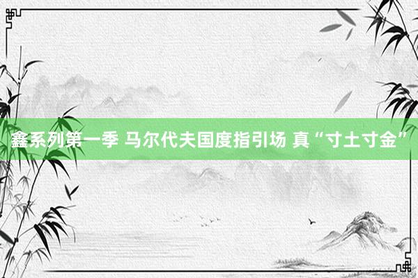 鑫系列第一季 马尔代夫国度指引场 真“寸土寸金”