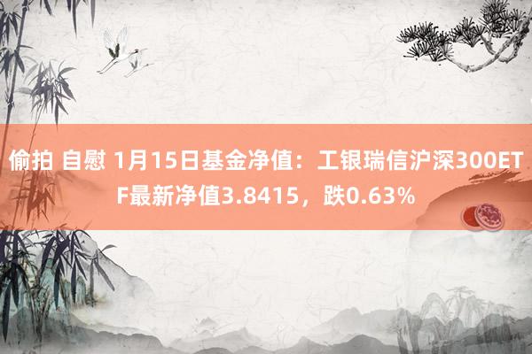 偷拍 自慰 1月15日基金净值：工银瑞信沪深300ETF最新净值3.8415，跌0.63%
