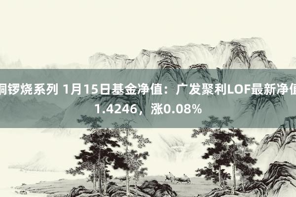 铜锣烧系列 1月15日基金净值：广发聚利LOF最新净值1.4246，涨0.08%