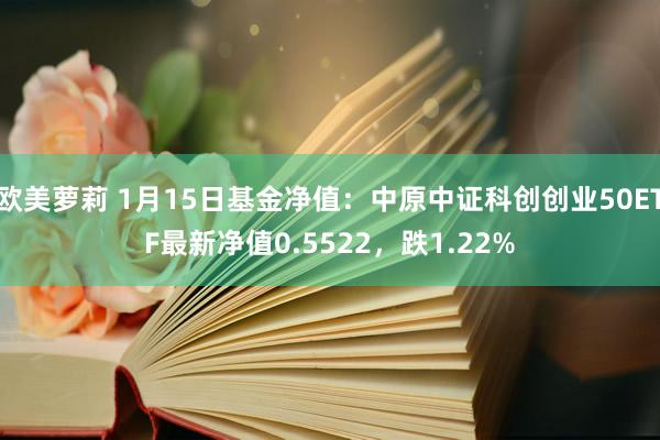 欧美萝莉 1月15日基金净值：中原中证科创创业50ETF最新净值0.5522，跌1.22%
