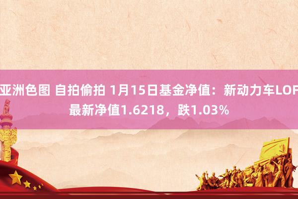 亚洲色图 自拍偷拍 1月15日基金净值：新动力车LOF最新净值1.6218，跌1.03%