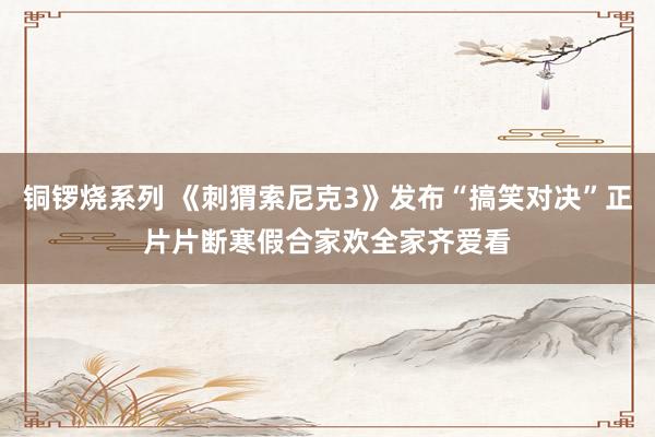 铜锣烧系列 《刺猬索尼克3》发布“搞笑对决”正片片断寒假合家欢全家齐爱看