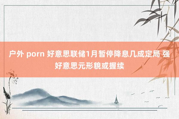 户外 porn 好意思联储1月暂停降息几成定局 强好意思元形貌或握续