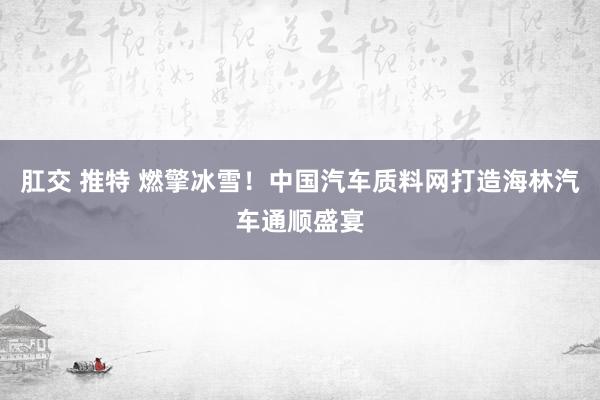 肛交 推特 燃擎冰雪！中国汽车质料网打造海林汽车通顺盛宴