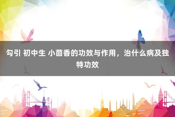 勾引 初中生 小茴香的功效与作用，治什么病及独特功效