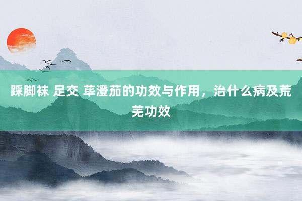 踩脚袜 足交 荜澄茄的功效与作用，治什么病及荒芜功效