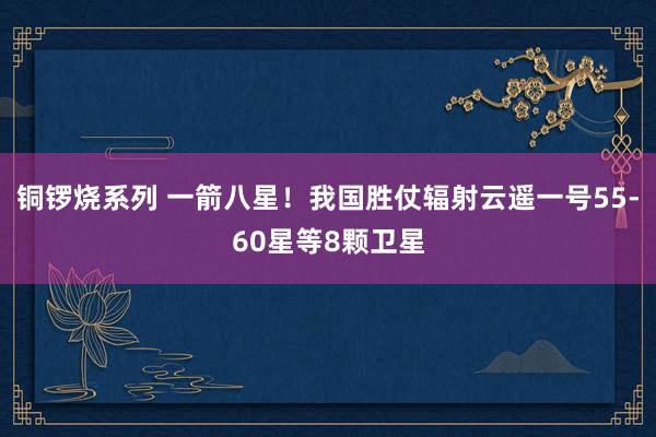 铜锣烧系列 一箭八星！我国胜仗辐射云遥一号55-60星等8颗卫星