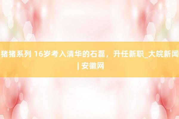 猪猪系列 16岁考入清华的石磊，升任新职_大皖新闻 | 安徽网