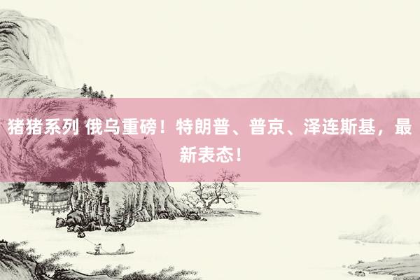 猪猪系列 俄乌重磅！特朗普、普京、泽连斯基，最新表态！