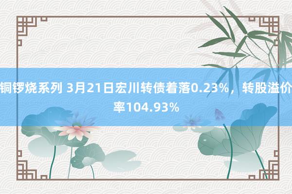 铜锣烧系列 3月21日宏川转债着落0.23%，转股溢价率104.93%