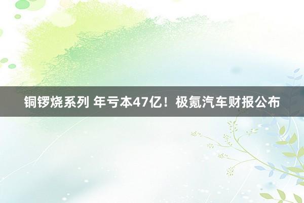 铜锣烧系列 年亏本47亿！极氪汽车财报公布