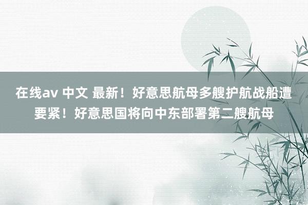 在线av 中文 最新！好意思航母多艘护航战船遭要紧！好意思国将向中东部署第二艘航母