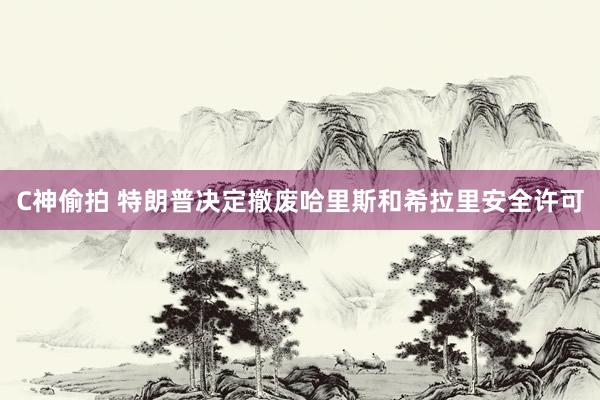 C神偷拍 特朗普决定撤废哈里斯和希拉里安全许可