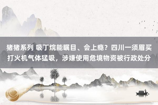 猪猪系列 吸丁烷能瞩目、会上瘾？四川一须眉买打火机气体猛吸，涉嫌使用危境物资被行政处分