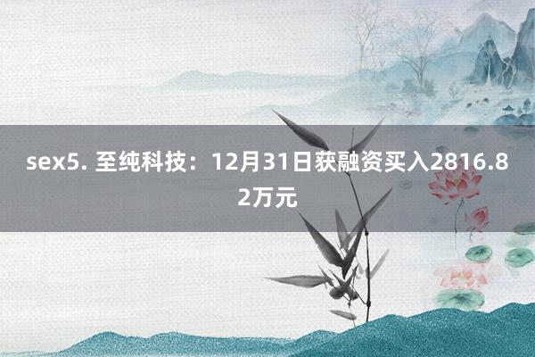 sex5. 至纯科技：12月31日获融资买入2816.82万元