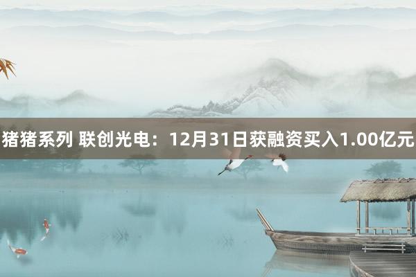 猪猪系列 联创光电：12月31日获融资买入1.00亿元
