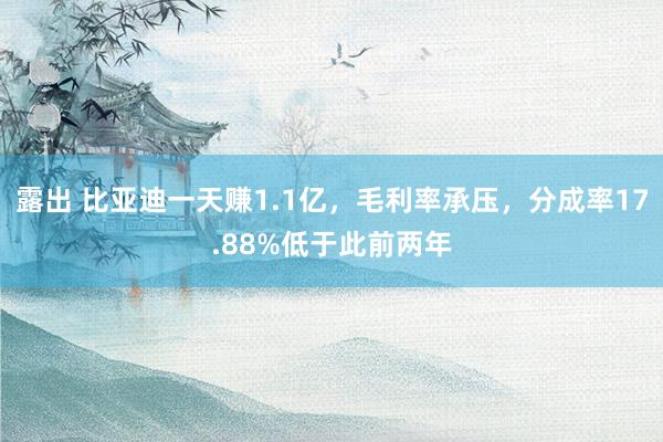 露出 比亚迪一天赚1.1亿，毛利率承压，分成率17.88%低于此前两年