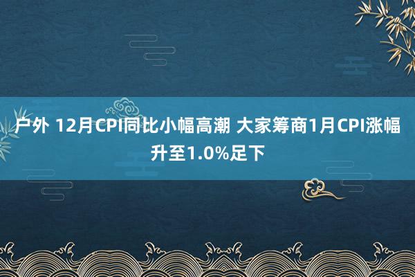 户外 12月CPI同比小幅高潮 大家筹商1月CPI涨幅升至1.0%足下