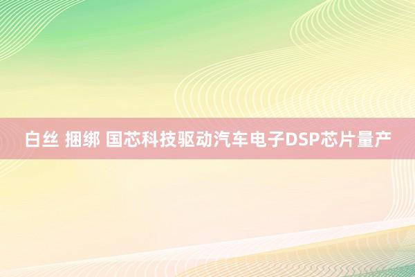 白丝 捆绑 国芯科技驱动汽车电子DSP芯片量产