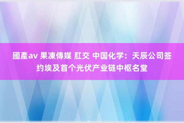 國產av 果凍傳媒 肛交 中国化学：天辰公司签约埃及首个光伏产业链中枢名堂