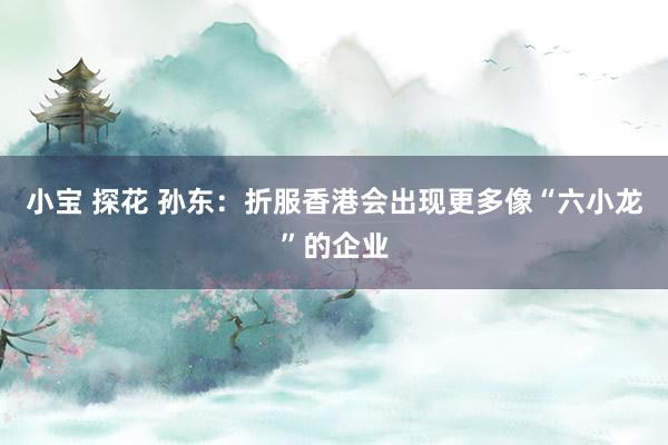 小宝 探花 孙东：折服香港会出现更多像“六小龙”的企业