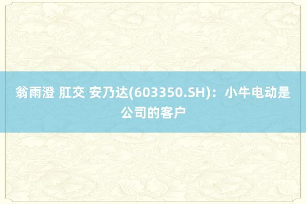 翁雨澄 肛交 安乃达(603350.SH)：小牛电动是公司的客户