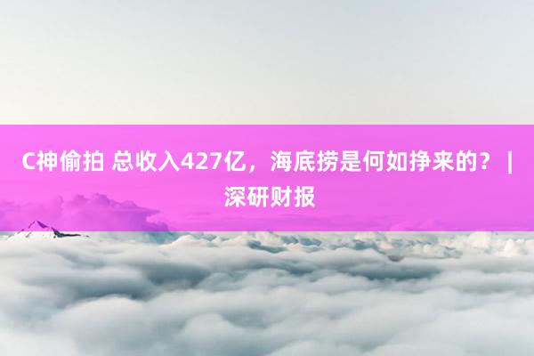 C神偷拍 总收入427亿，海底捞是何如挣来的？ | 深研财报