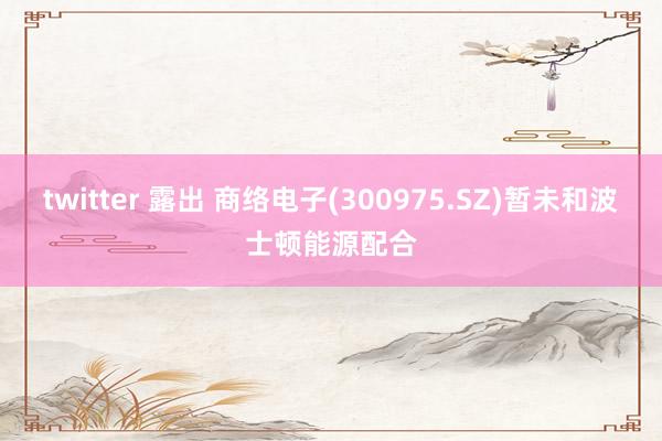 twitter 露出 商络电子(300975.SZ)暂未和波士顿能源配合